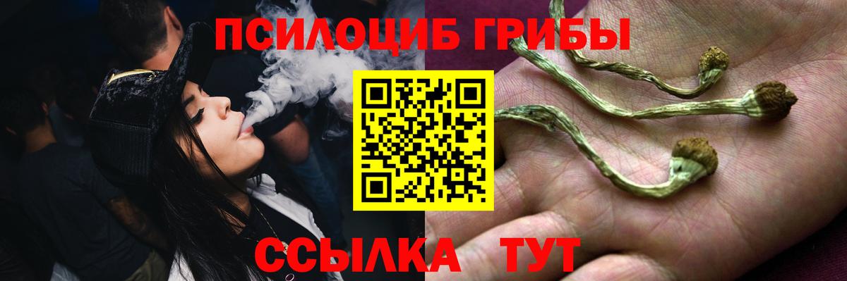 Галлюциногенные грибы прущие грибы Беслан